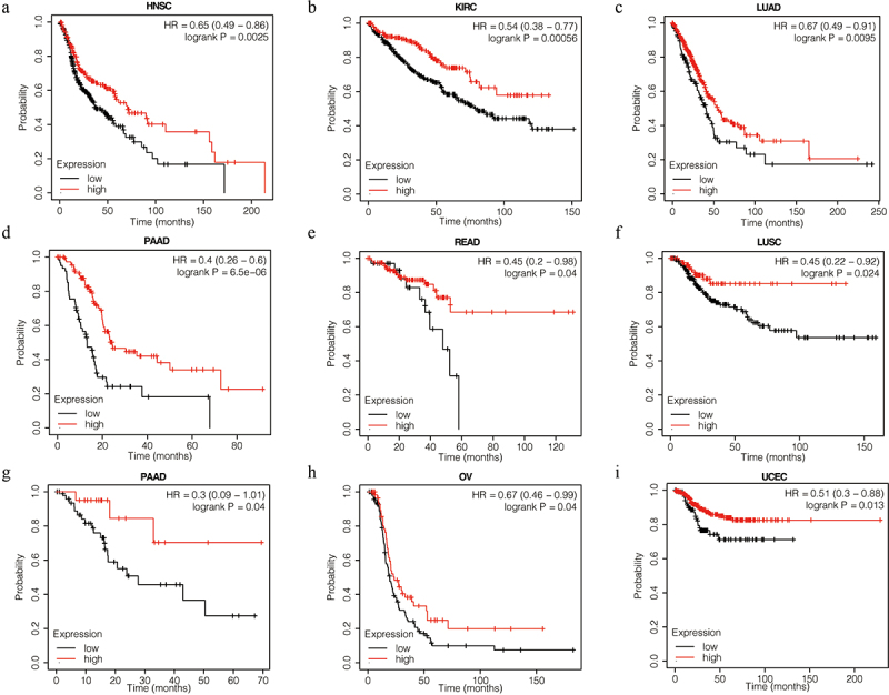 PMC10783835 – f0002