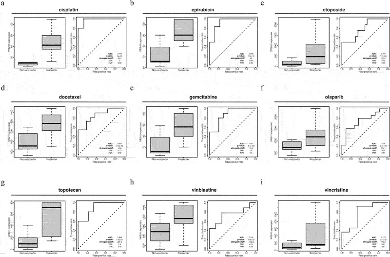 PMC10783835 – f0006