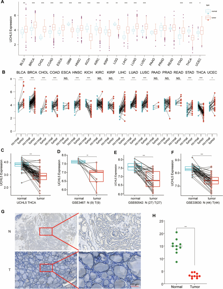 PMC13123060 – f0001