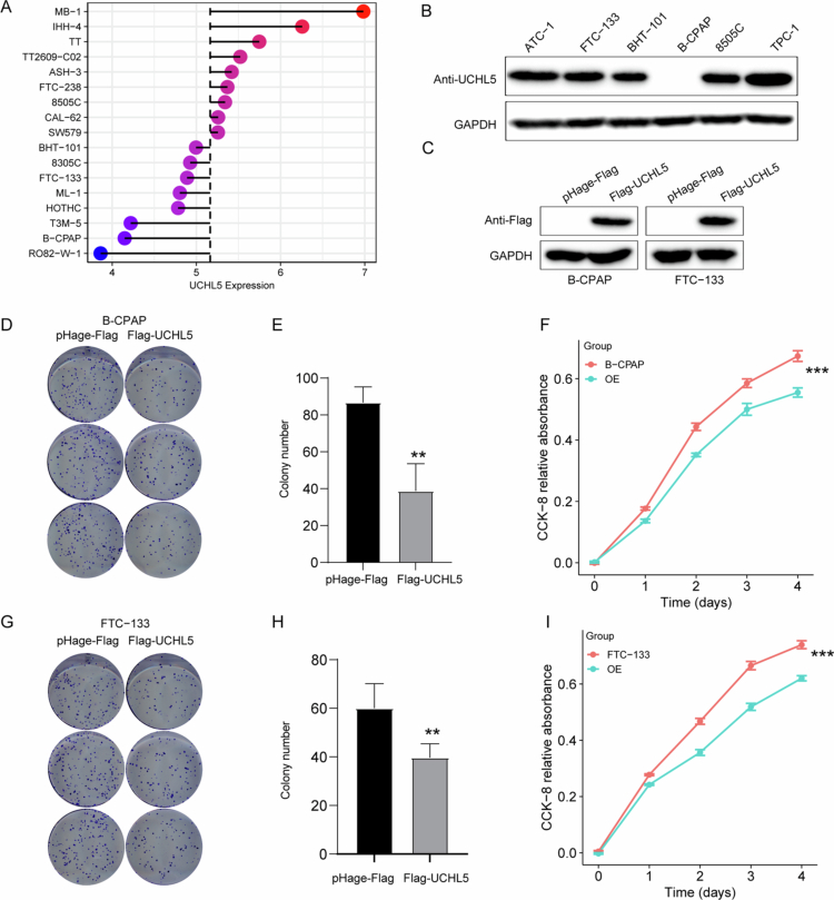 PMC13123060 – f0006