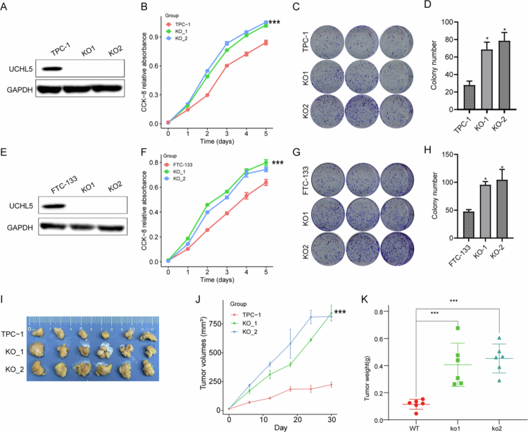 PMC13123060 – f0007