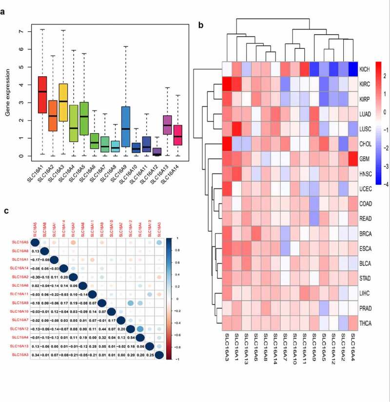 PMC8386723 – f0001