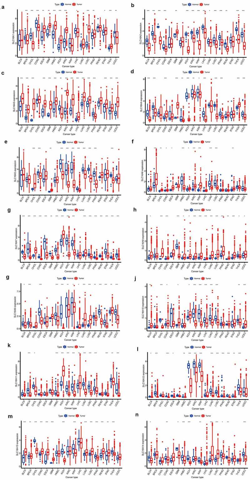 PMC8386723 – f0002
