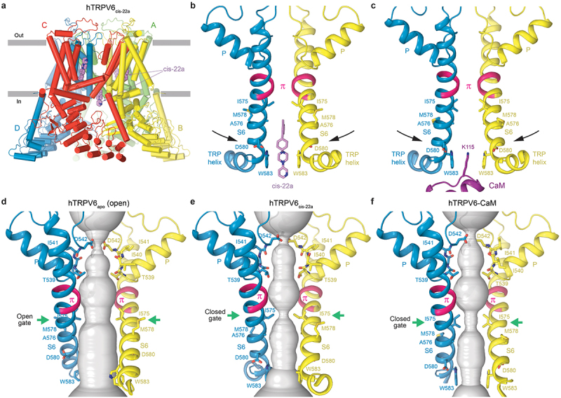 PMC10578198 – f0004