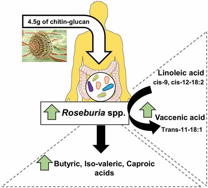 PMC7524357 – uf0001