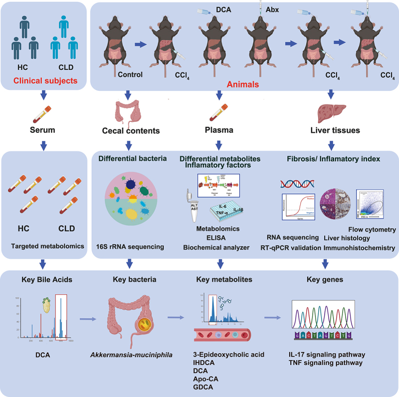 PMC10903553 – f0001