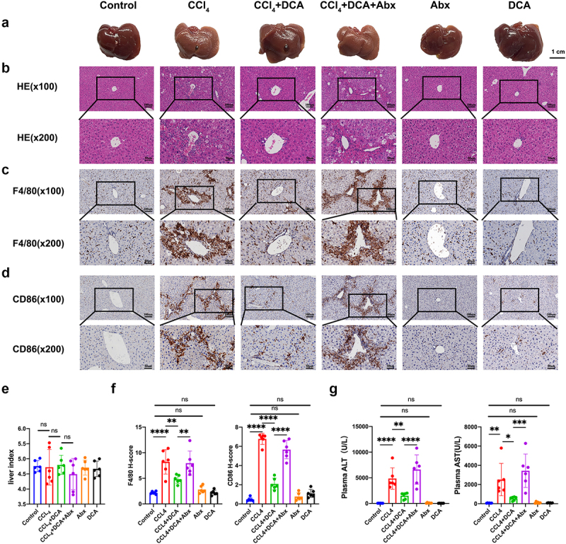 PMC10903553 – f0003