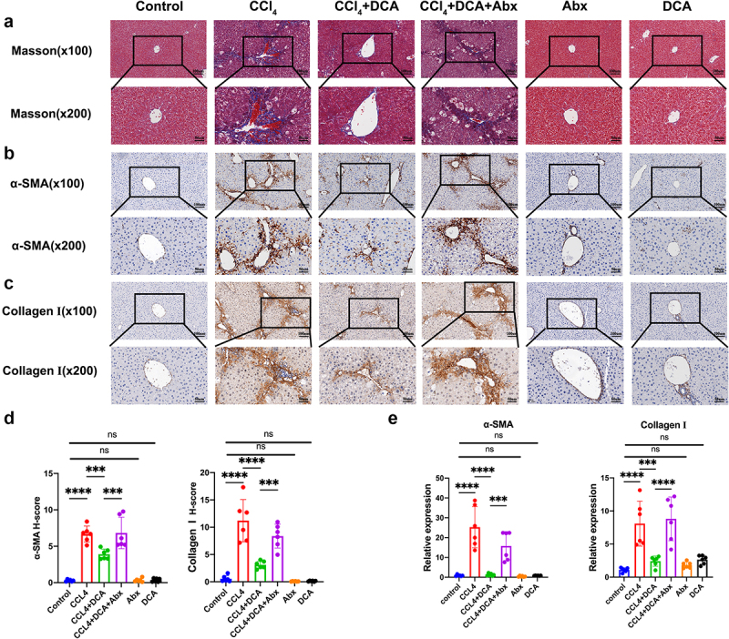 PMC10903553 – f0005