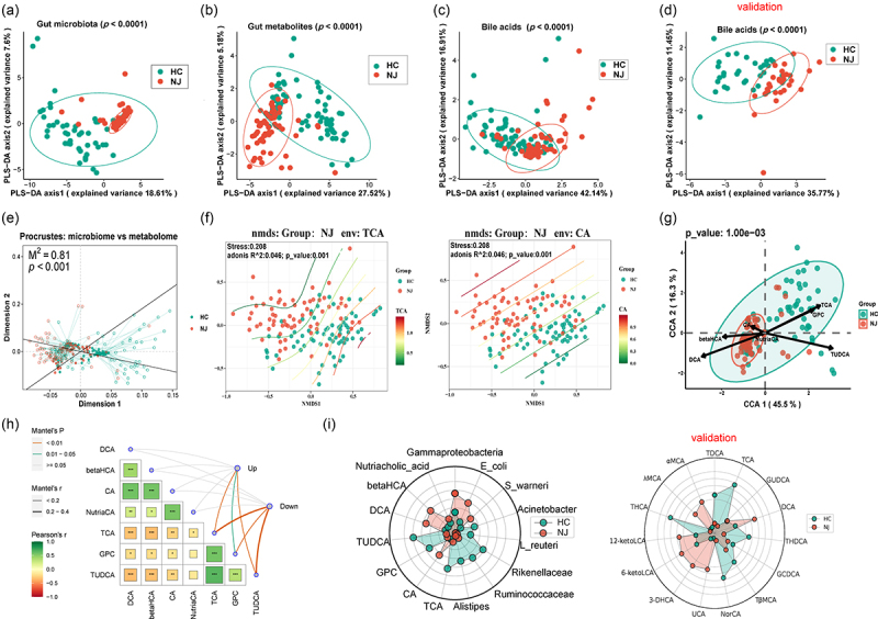 PMC11340767 – f0003