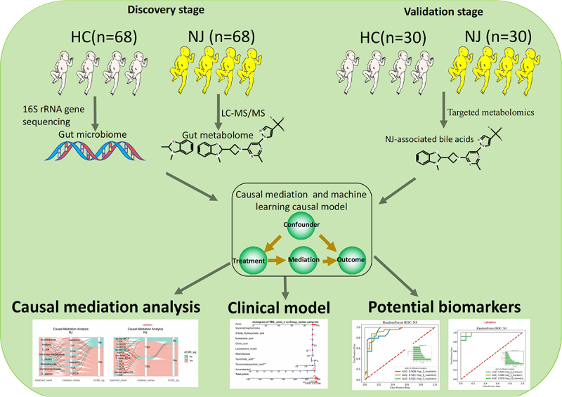 PMC11340767 – uf0001