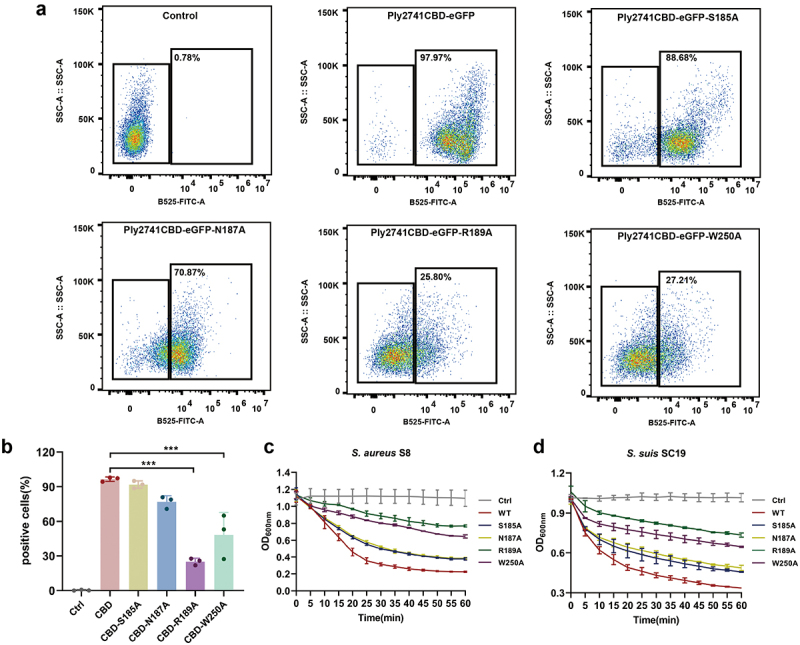PMC11740692 – f0007