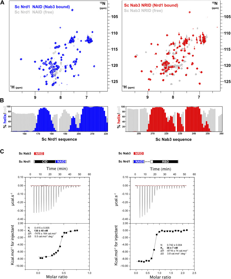 PMC8761494 – fig2