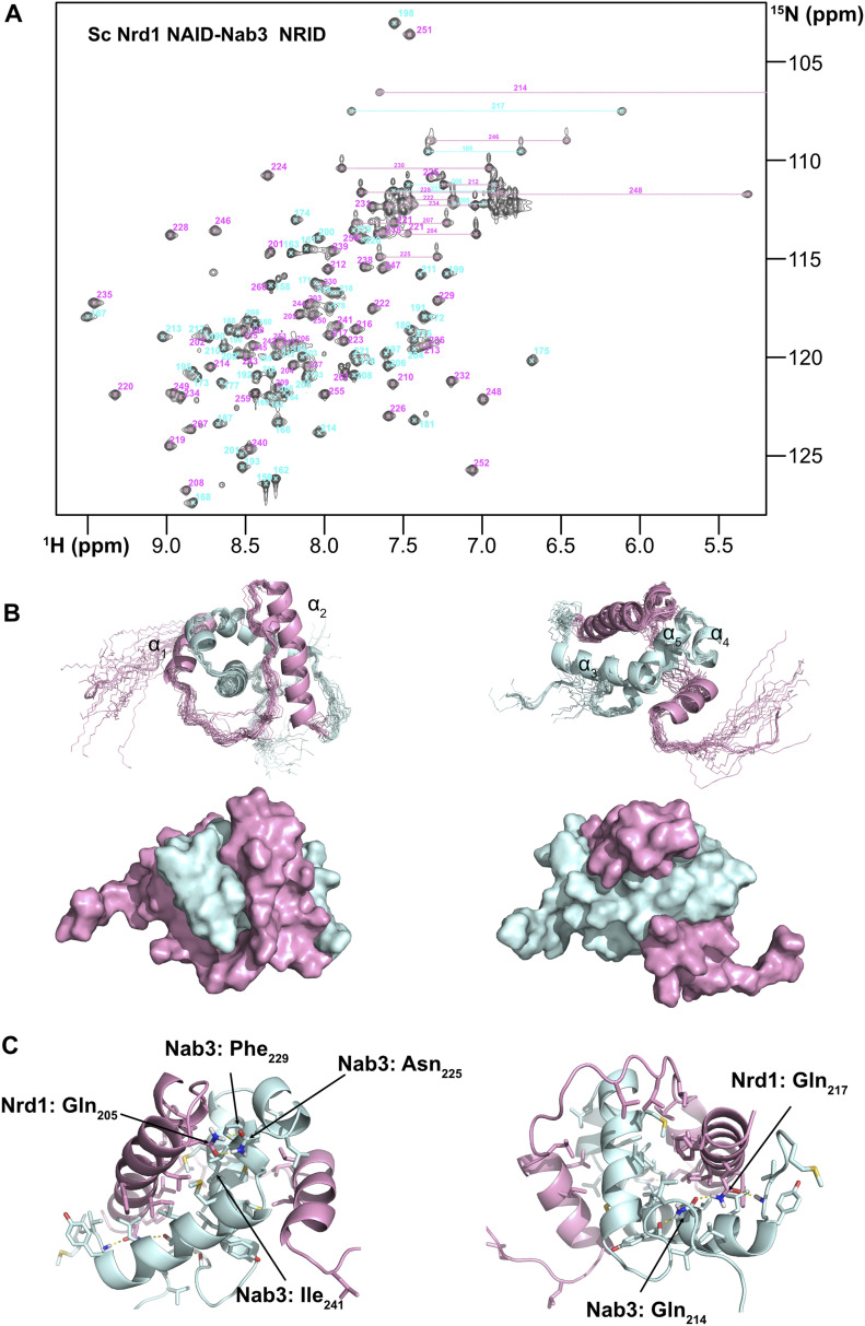 PMC8761494 – fig3