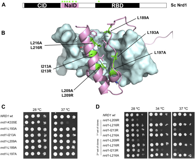 PMC8761494 – fig4