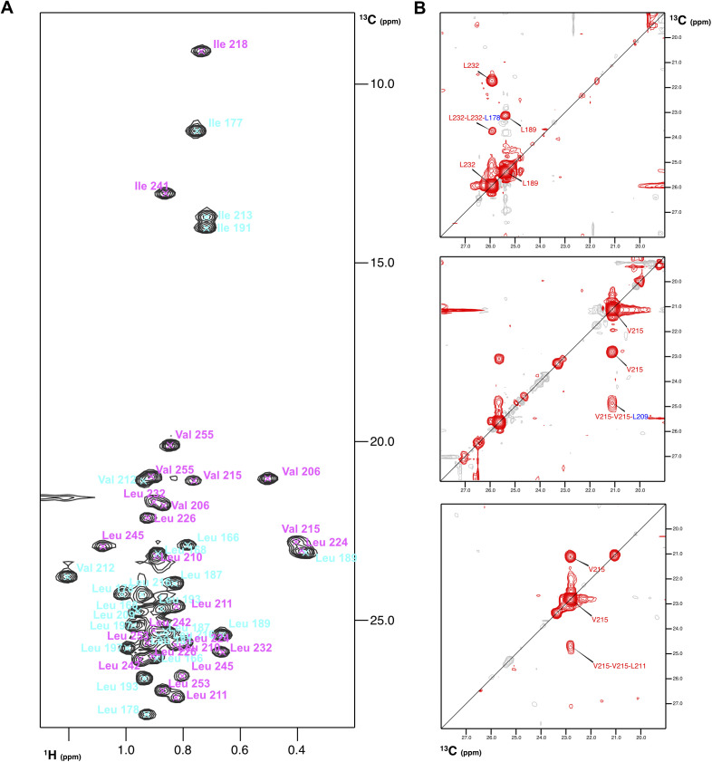 PMC8761494 – figS5