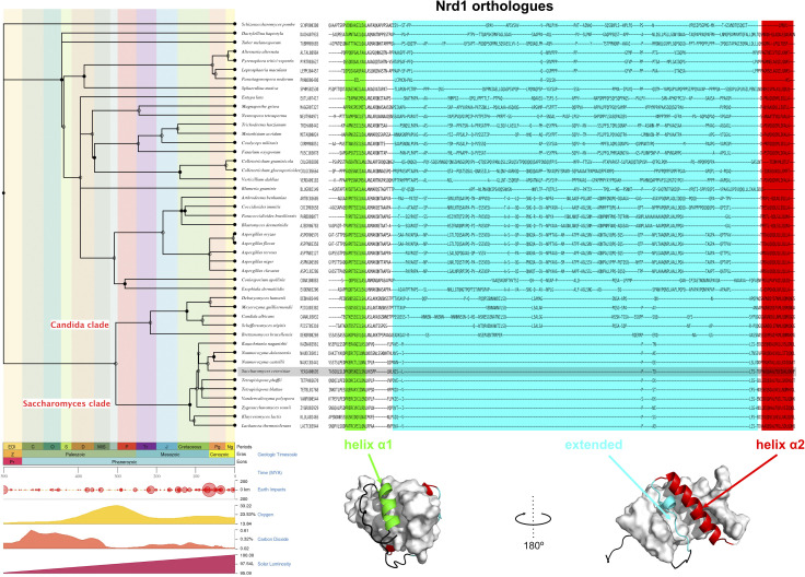 PMC8761494 – figS7