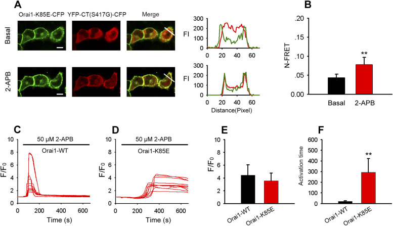 PMC9873985 – fig10