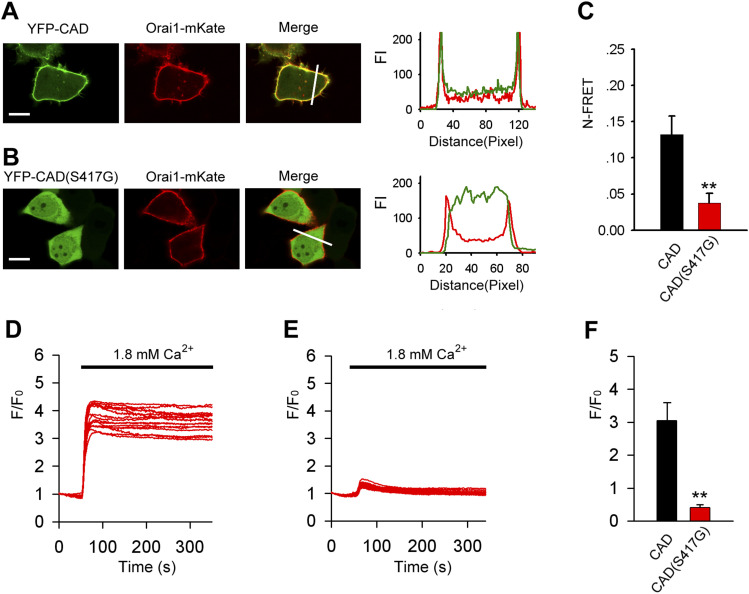 PMC9873985 – fig3