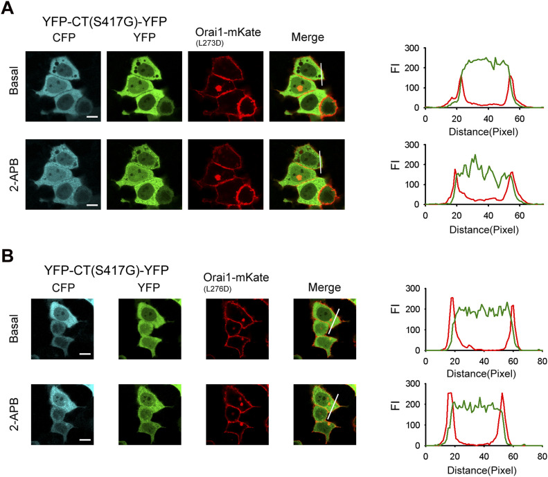 PMC9873985 – fig8