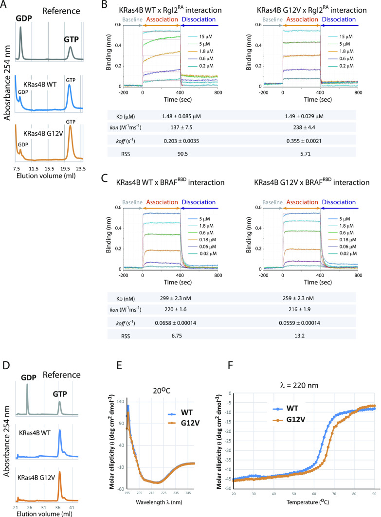 PMC10576006 – fig1