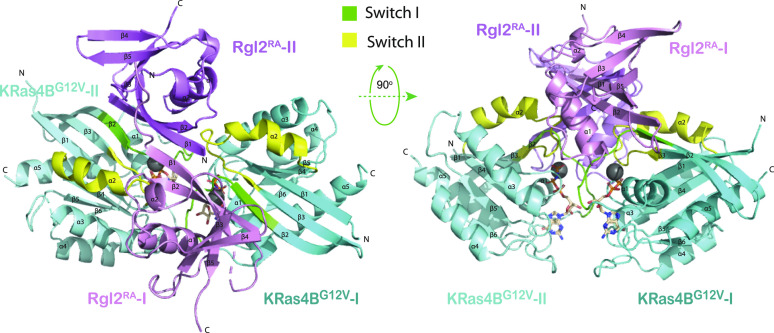 PMC10576006 – fig2
