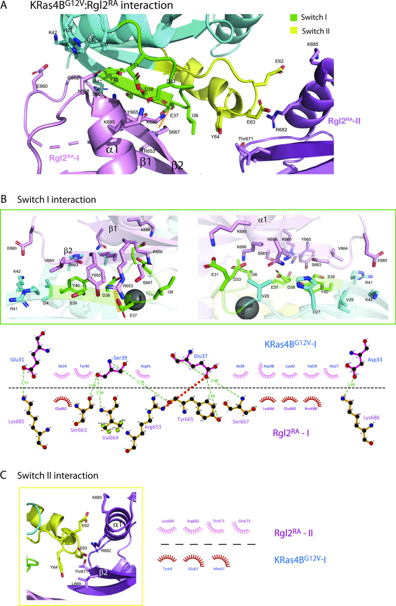 PMC10576006 – fig3
