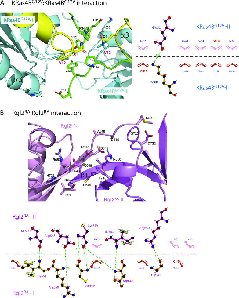 PMC10576006 – fig4