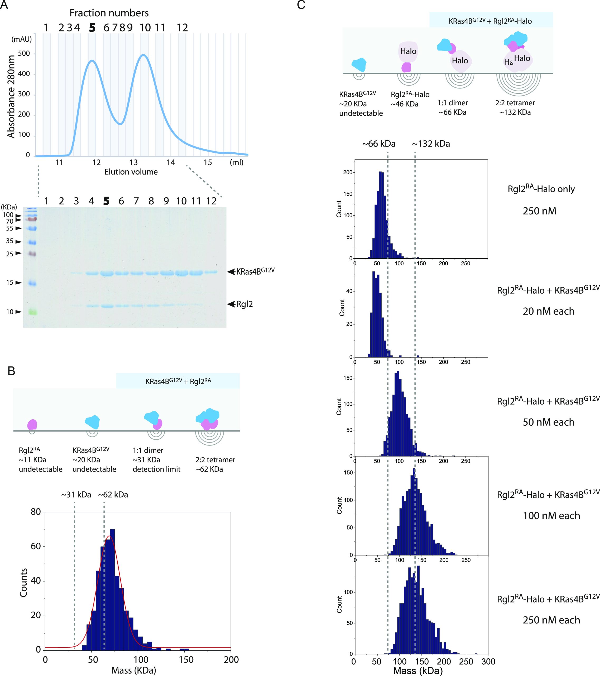 PMC10576006 – fig7