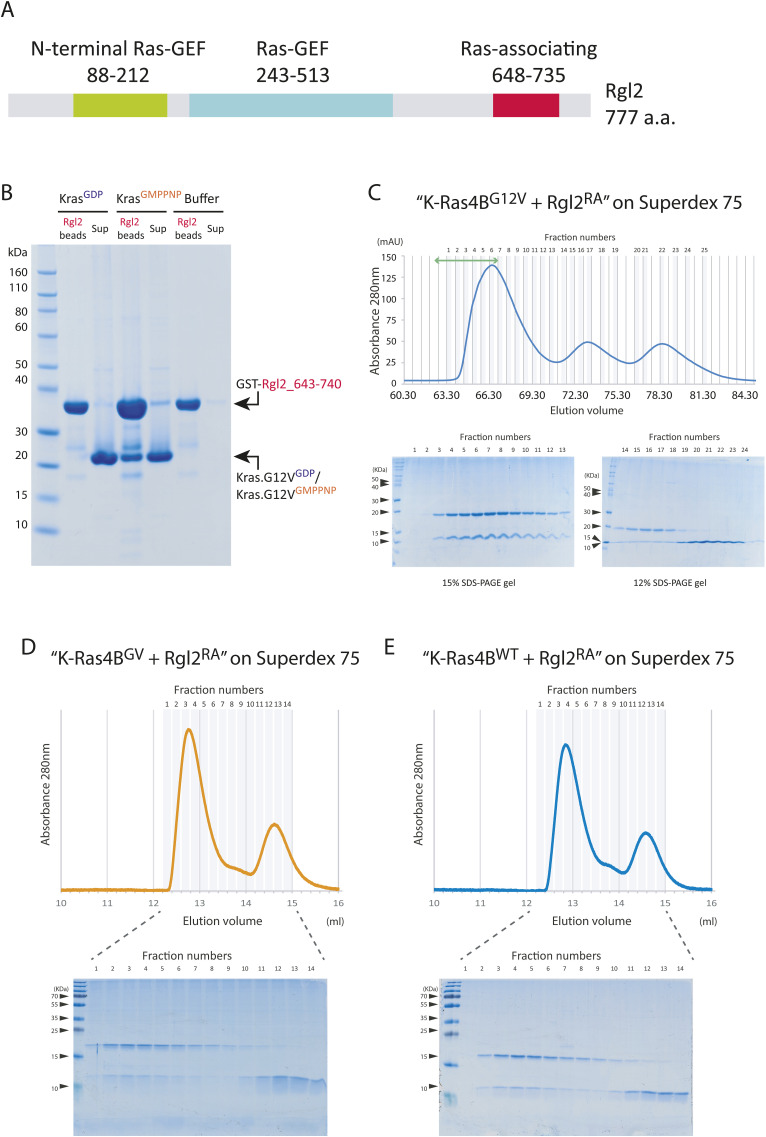 PMC10576006 – figS1