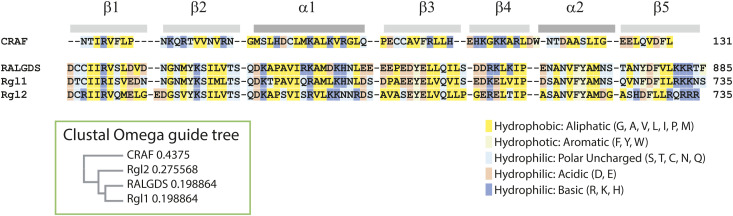 PMC10576006 – figS10