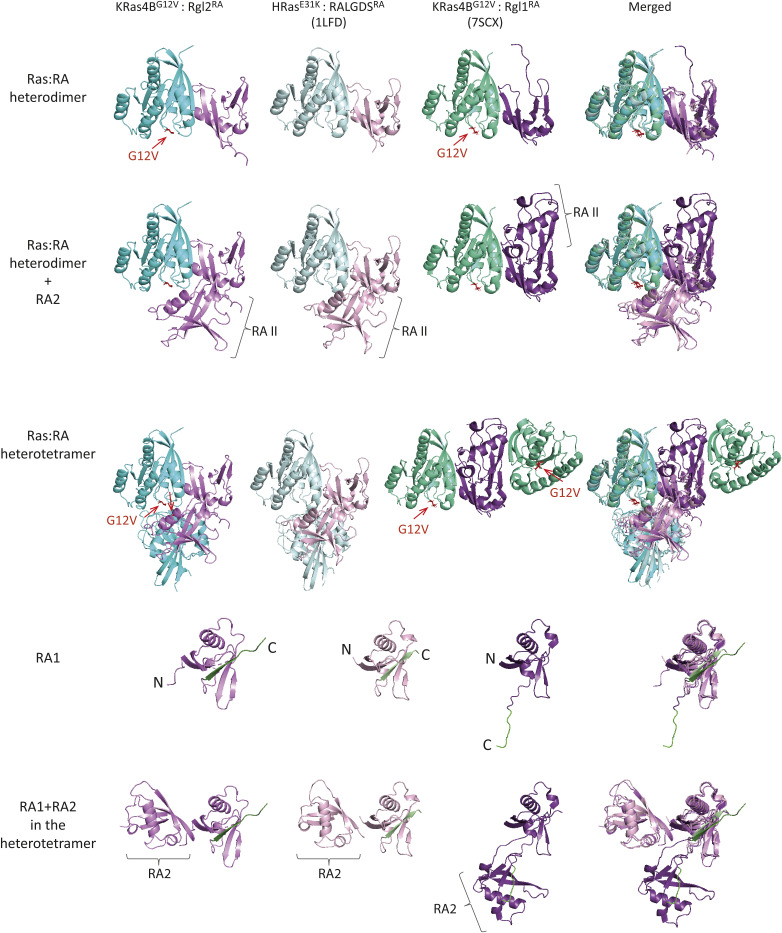 PMC10576006 – figS11
