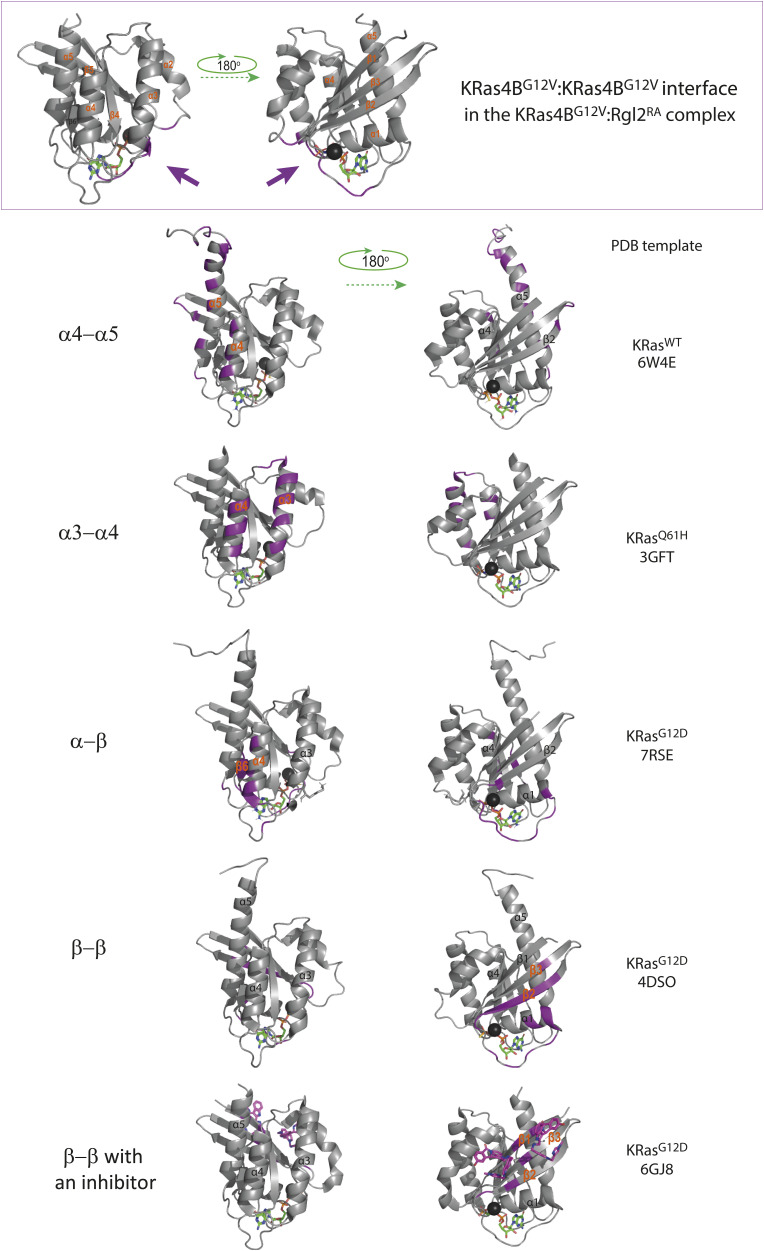 PMC10576006 – figS12