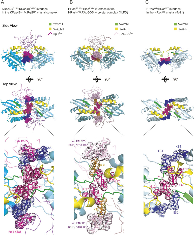 PMC10576006 – figS13