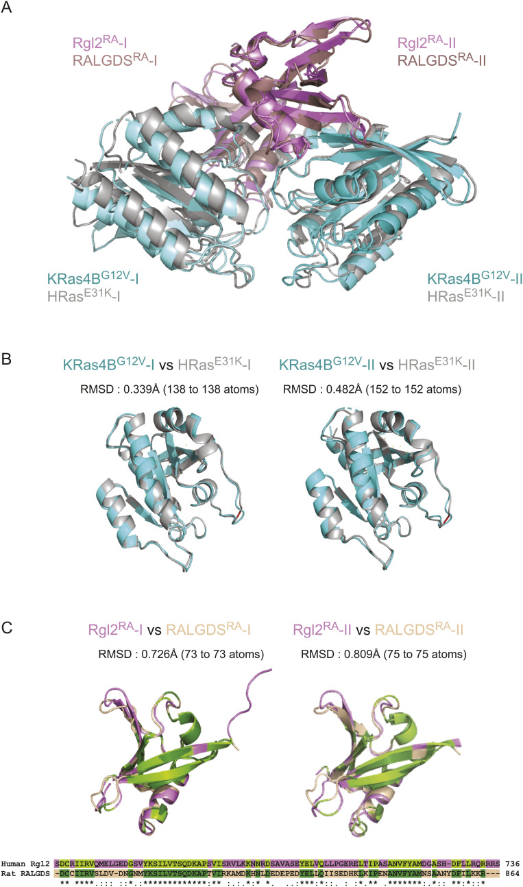 PMC10576006 – figS3