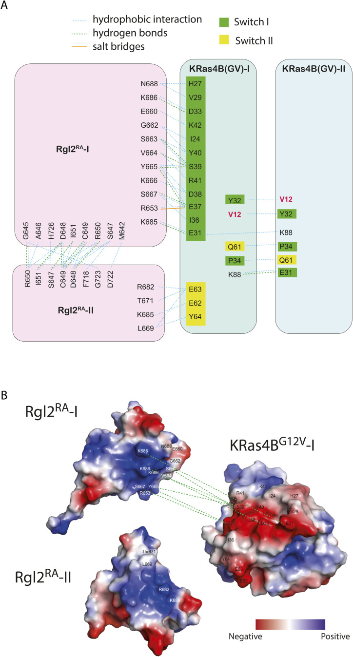 PMC10576006 – figS4
