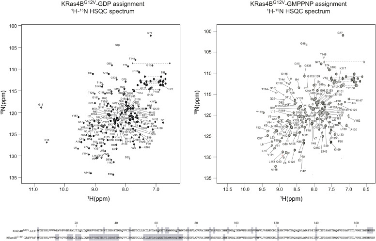 PMC10576006 – figS6