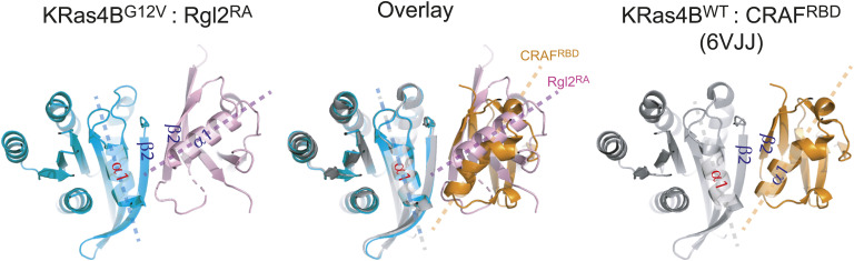PMC10576006 – figS8