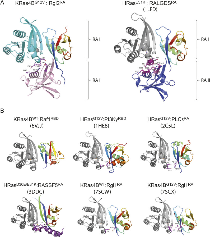 PMC10576006 – figS9