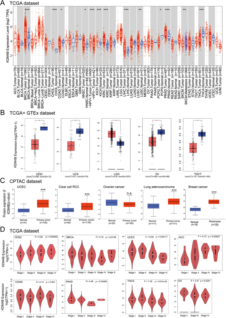 PMC8554665 – mco285-fig-0006