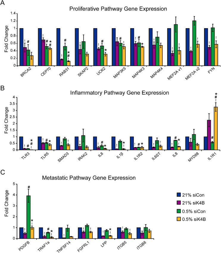 PMC8554665 – mco285-fig-0003