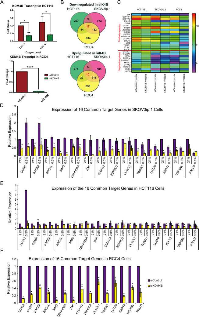 PMC8554665 – mco285-fig-0001