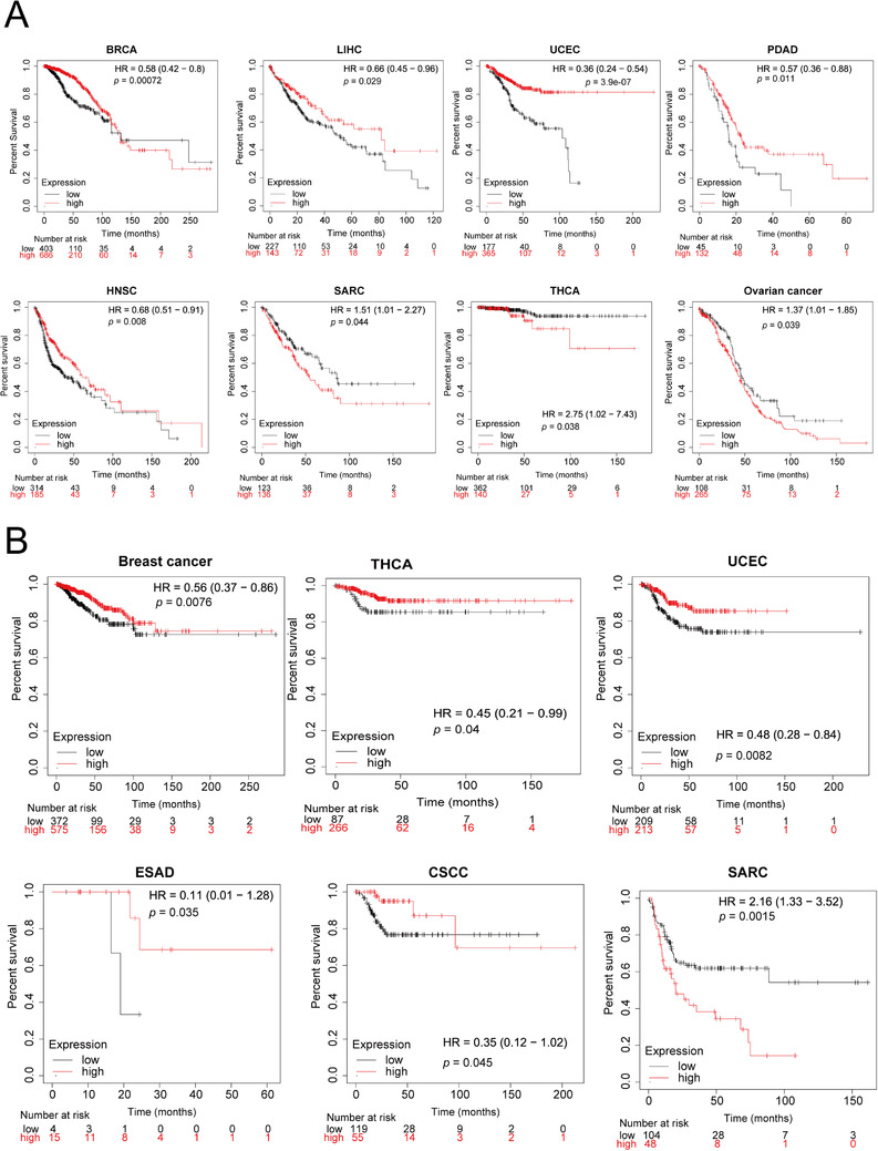 PMC8554665 – mco285-fig-0007