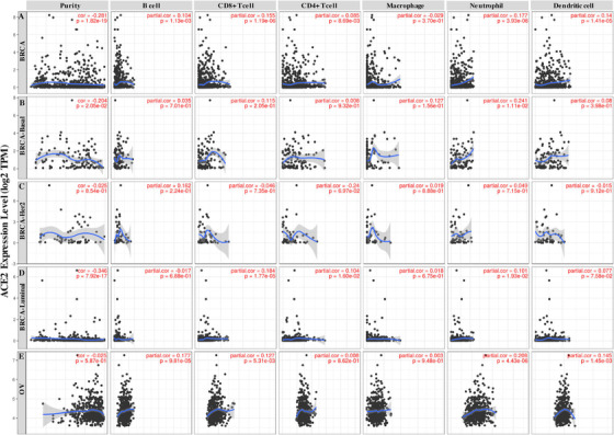 PMC8014155 – mco253-fig-0004