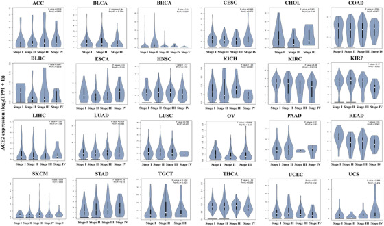PMC8014155 – mco253-fig-0002