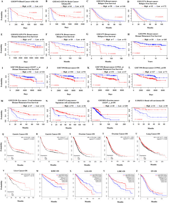 PMC8014155 – mco253-fig-0003