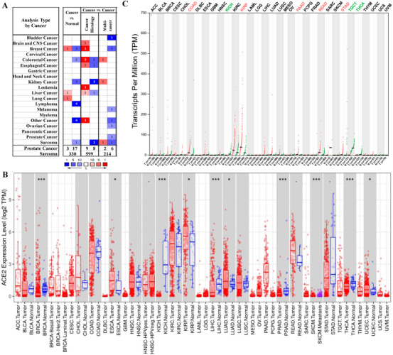 PMC8014155 – mco253-fig-0001