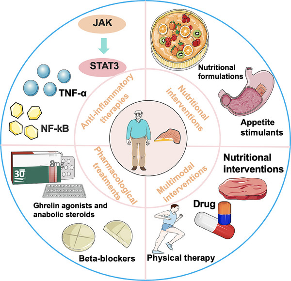 PMC11702502 – mco270030-fig-0004