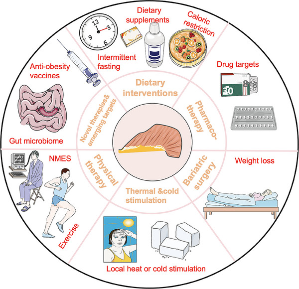 PMC11702502 – mco270030-fig-0003