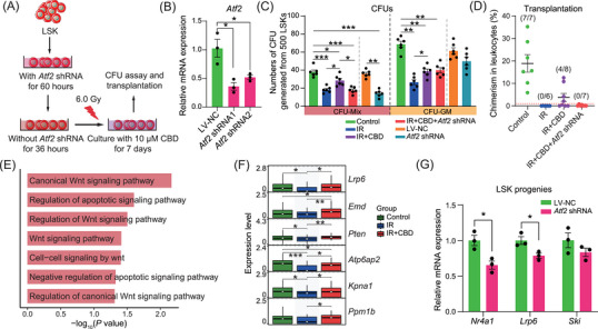 PMC11822450 – mco270092-fig-0007