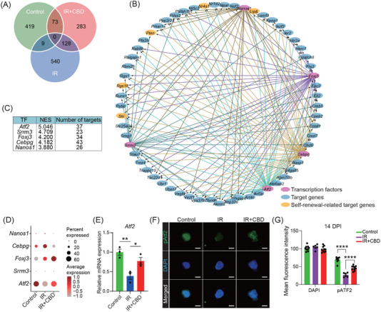 PMC11822450 – mco270092-fig-0006